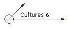 Cultures 6